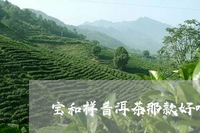 宝和祥普洱茶那款好喝/2023062489483