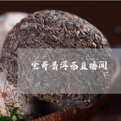 宝哥普洱茶直播间/2023101686240