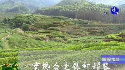 宝坻白毫银针罐装/2023090732946