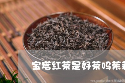 宝塔红茶是好茶吗茉莉龙珠茶叶价格/2023060468683