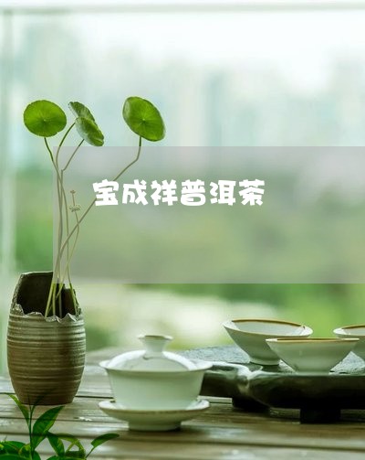 宝成祥普洱茶/2023091144957