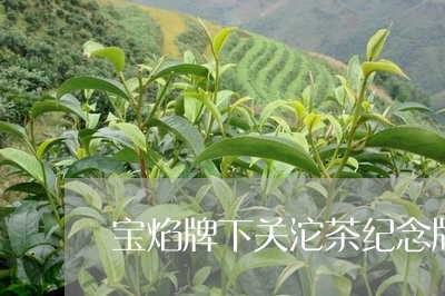 宝焰牌下关沱茶纪念版/2023092101828