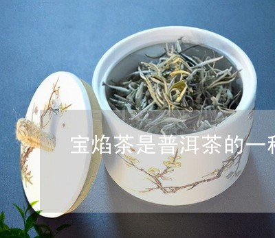 宝焰茶是普洱茶的一种/2023062995028