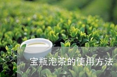 宝瓶泡茶的使用方法/2023042336271