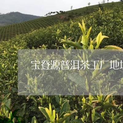 宝登源普洱茶工厂地址/2023061449705