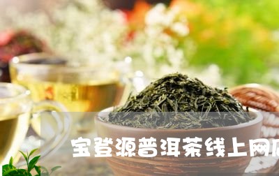 宝登源普洱茶线上网店/2023092914038