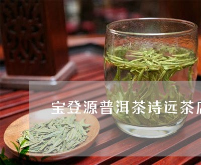 宝登源普洱茶诗远茶店/2023092869363