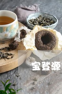 宝登源紧压白茶白牡丹/2023120985250