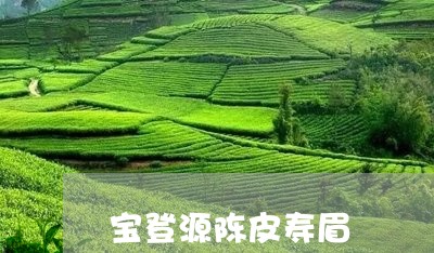 宝登源陈皮寿眉/2023112441403