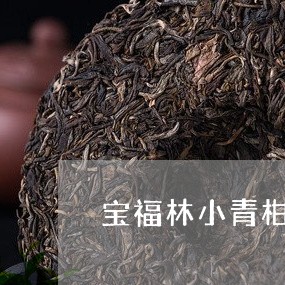 宝福林小青柑普洱茶/2023112740581