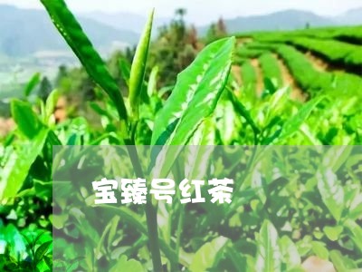 宝臻号红茶/2023090281617