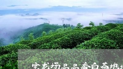 宝龙场品品香白茶地址/2023102496378