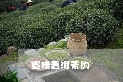 宣传普洱茶的/2023090683846