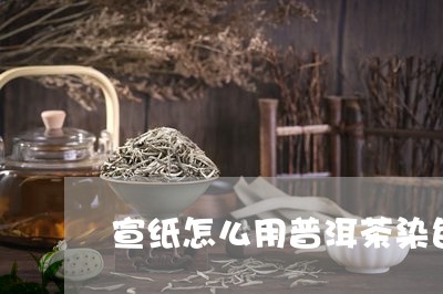 宣纸怎么用普洱茶染色/2023080332804