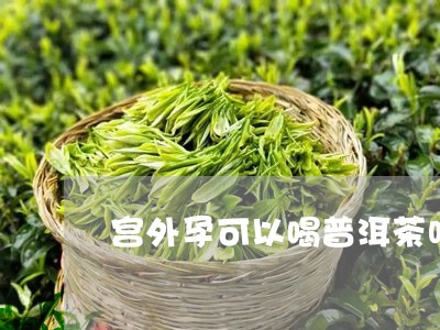 宫外孕可以喝普洱茶吗/2023080289693