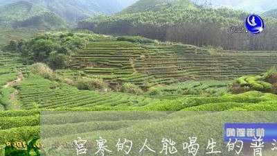 宫寒的人能喝生的普洱茶吗/2023112851492