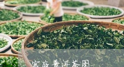 宫庭普洱茶图/2023042805147