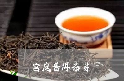 宫庭普洱茶芽/2023042809904