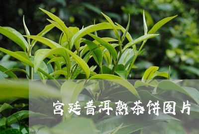 宫廷普洱熟茶饼图片/2023042772837