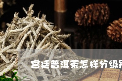 宫廷普洱茶怎样分级别/2023080144059