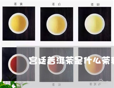 宫廷普洱茶是什么茶种的/2023102536359