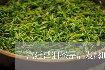 宫廷普洱茶是后发酵吗/2023073170515