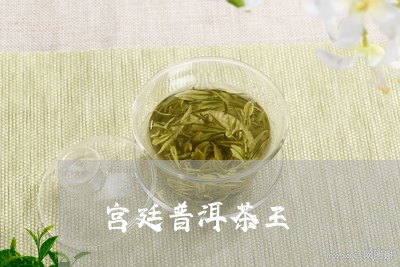 宫廷普洱茶王/2023042626909