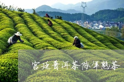 宫廷普洱茶陈年熟茶/2023120587371