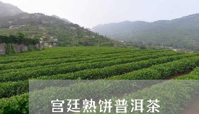 宫廷熟饼普洱茶/2023120328350