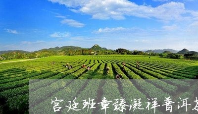 宫廷班章臻凝祥普洱茶价格/2023112626837