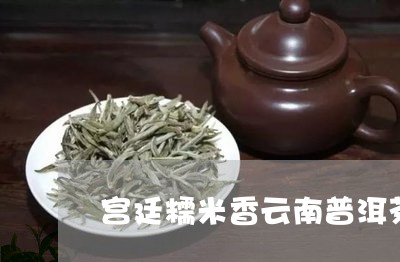 宫廷糯米香云南普洱茶30年/2023110244716