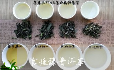 宫廷臻普洱茶/2023042967769