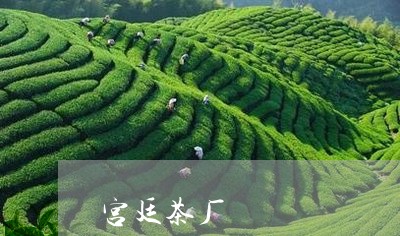 宫廷茶厂/2023090160685