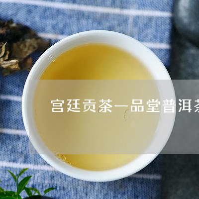 宫廷贡茶一品堂普洱茶/2023093009703