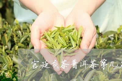 宫廷贡茶普洱茶第几名/2023073048169