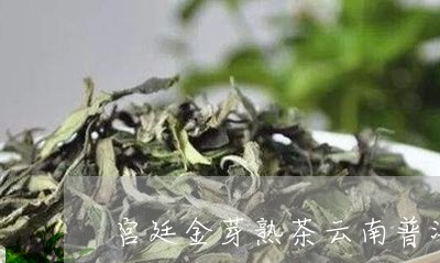 宫廷金芽熟茶云南普洱茶/2023102474838