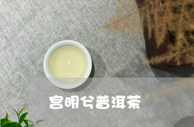 宫明兮普洱茶/2023042971065