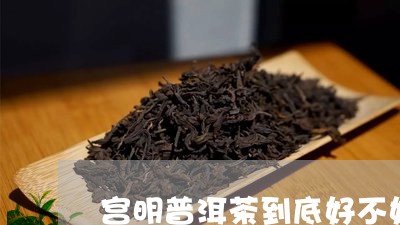 宫明普洱茶到底好不好/2023092760692