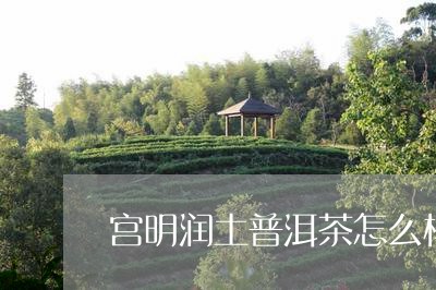 宫明润土普洱茶怎么样/2023072125148