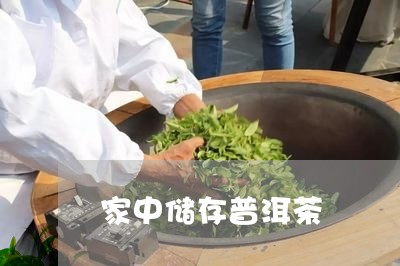 家中储存普洱茶/2023120338360