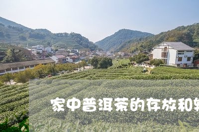 家中普洱茶的存放和转化/2023082952916