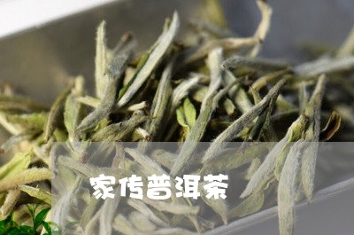 家传普洱茶/2023081702926