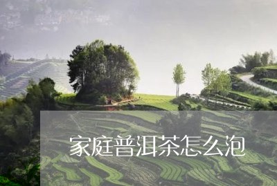 家庭普洱茶怎么泡/2023082917380