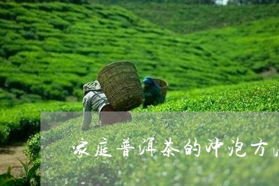 家庭普洱茶的冲泡方法/2023062573826