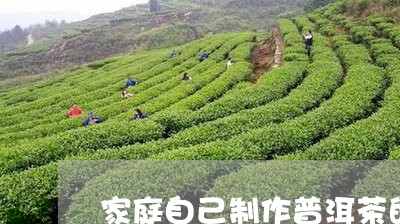 家庭自己制作普洱茶的方法/2023081585251