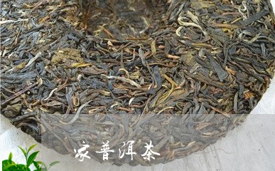 家普洱茶/2023110888480