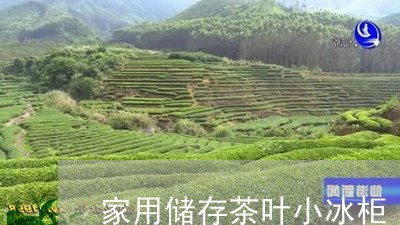 家用储存茶叶小冰柜/2023042687350