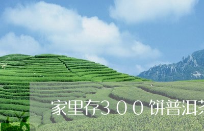 家里存300饼普洱茶/2023100874038