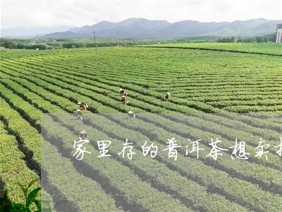 家里存的普洱茶想卖掉/2023120689493