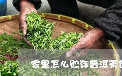 家里怎么贮存普洱茶饼茶叶/2023110552036